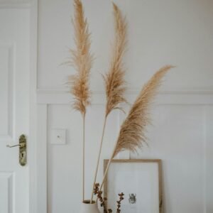 Minimalist interior design featuring pampas grass in a vase against a neutral wall.